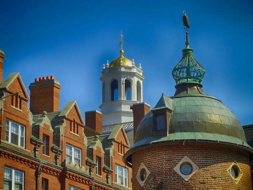 harvard fanduel investment