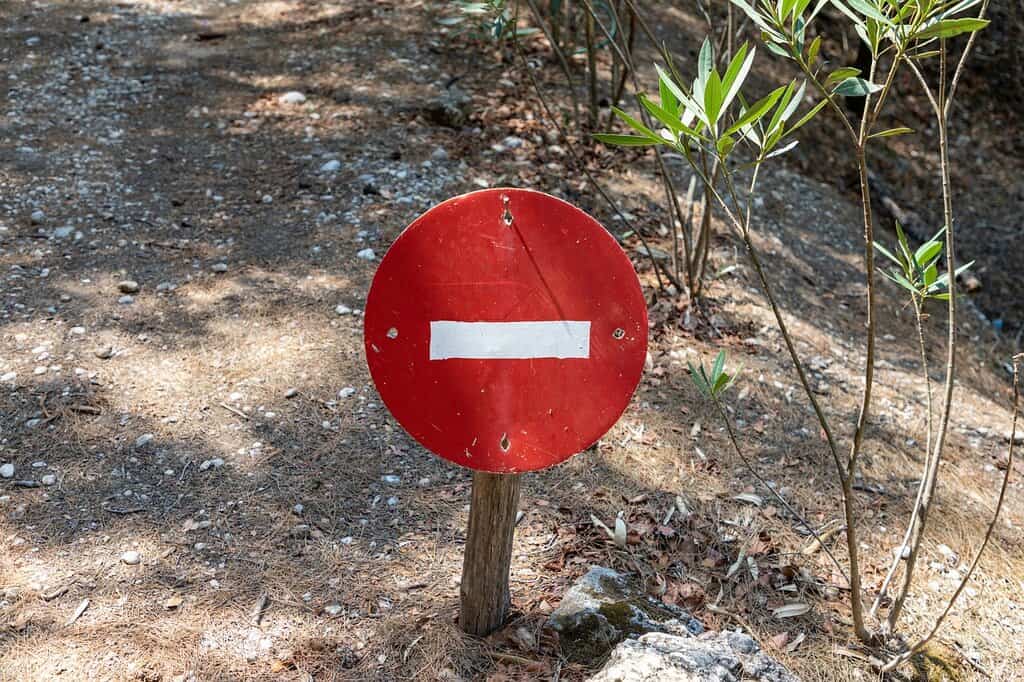 stop gambling cold turkey